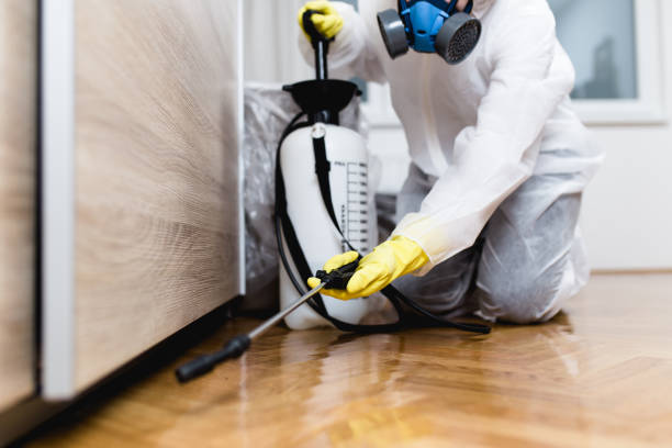 Best Pest Inspection Near Me  in Tuckahoe, NY