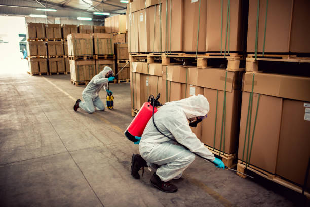 Best Termite Control Services  in Tuckahoe, NY