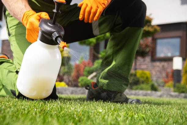 Best Local Pest Control Services  in Tuckahoe, NY