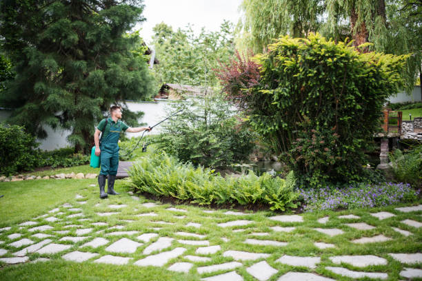 Best Bird Control  in Tuckahoe, NY