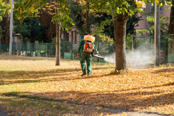 Professional Pest Control in Tuckahoe, NY