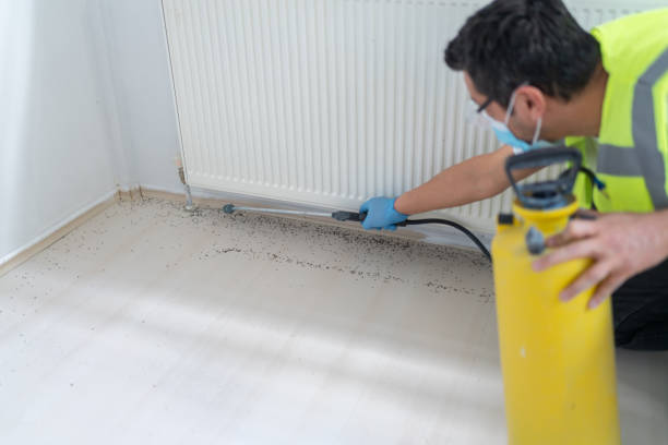 Best Pest Prevention Services  in Tuckahoe, NY