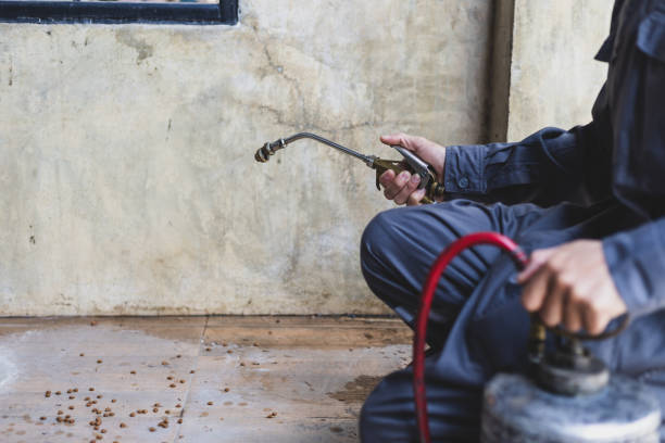 Best Exterminator Services  in Tuckahoe, NY