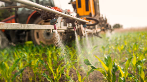 Best Ant Control Services  in Tuckahoe, NY